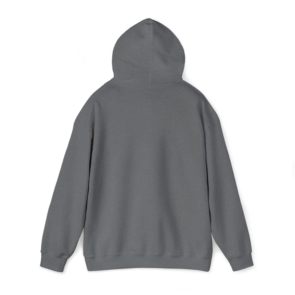 Street Kings graphic Hoodie | Urban streetwear logo sweatshirt