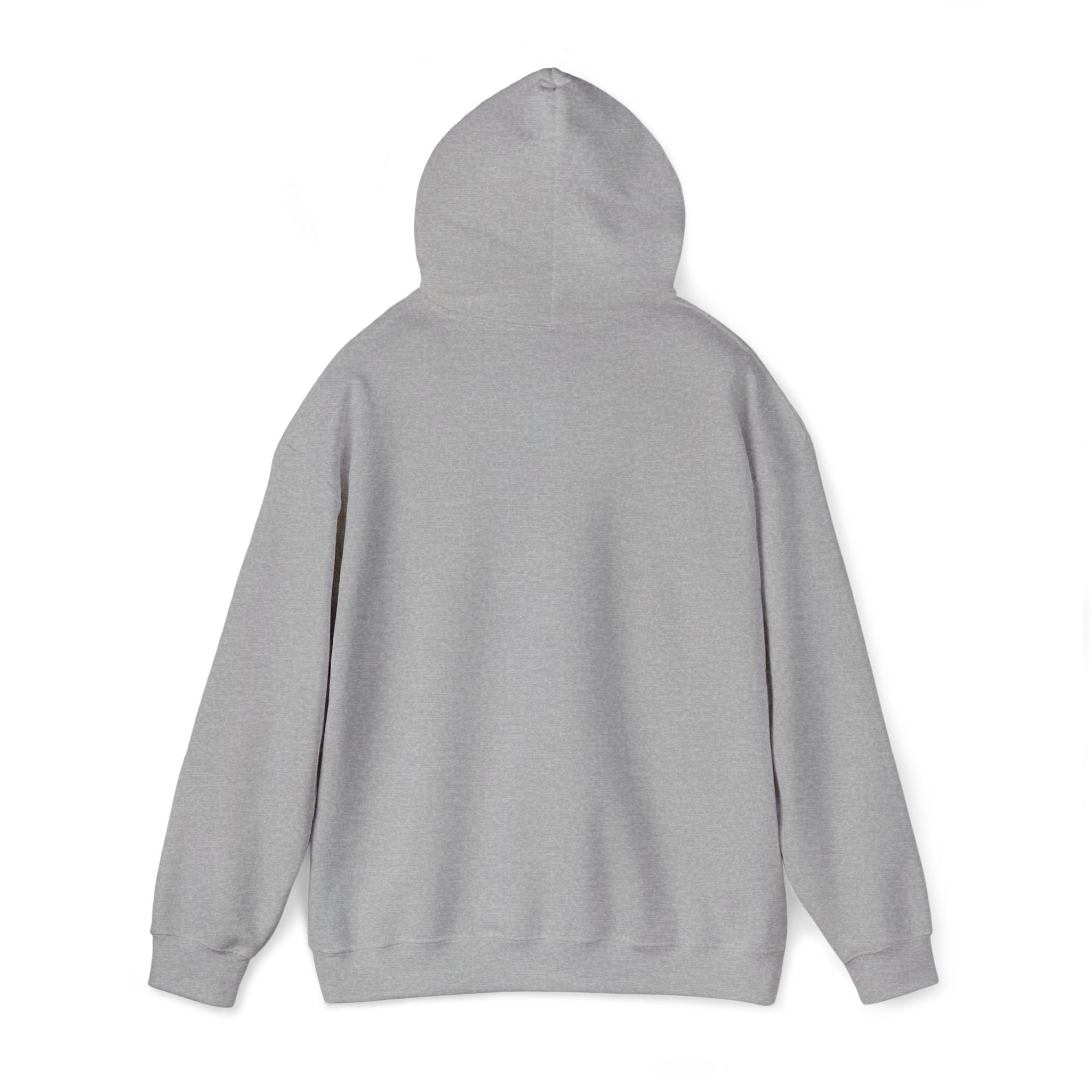 Street Kings graphic Hoodie | Urban streetwear logo sweatshirt