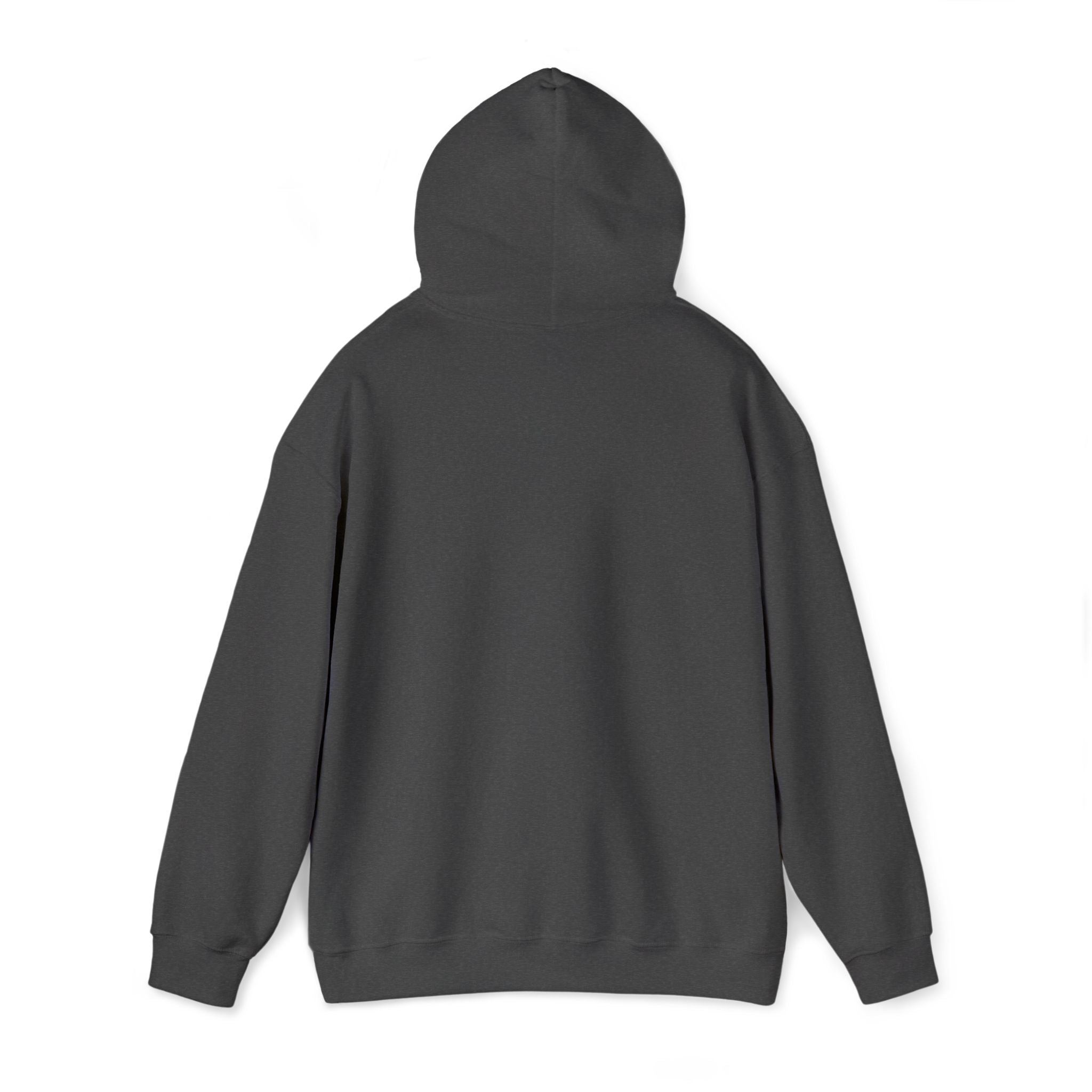 Street Kings graphic Hoodie | Urban streetwear logo sweatshirt