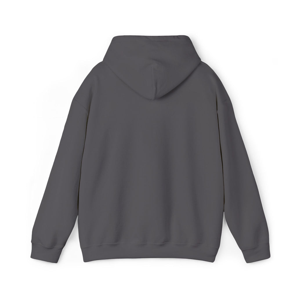 Street Kings graphic Hoodie | Urban streetwear logo sweatshirt