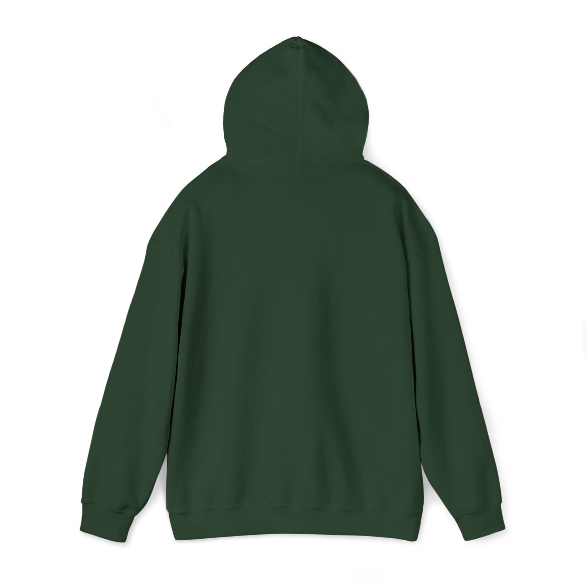 Street Kings graphic Hoodie | Urban streetwear logo sweatshirt