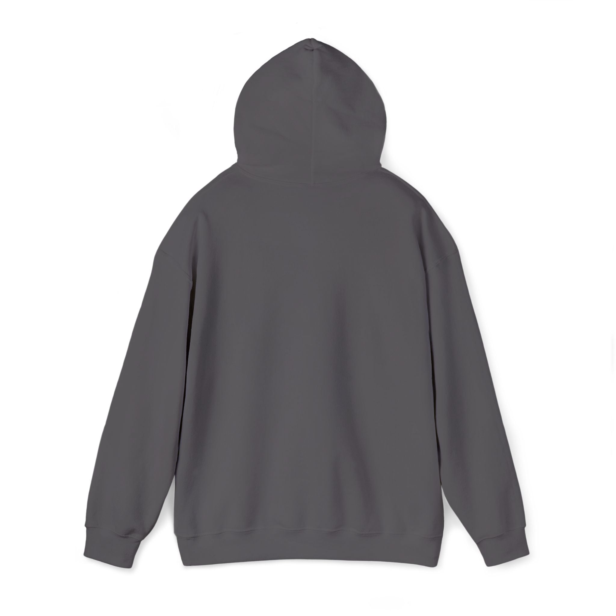 Street Kings graphic Hoodie | Urban streetwear logo sweatshirt