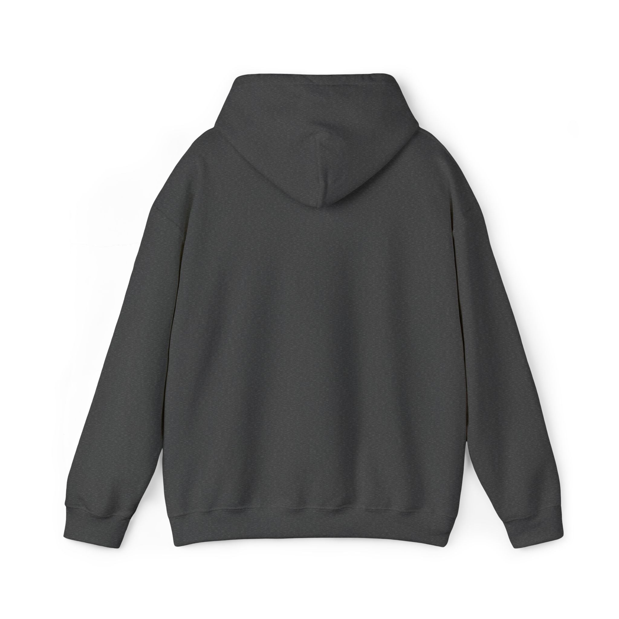 Street Kings graphic Hoodie | Urban streetwear logo sweatshirt